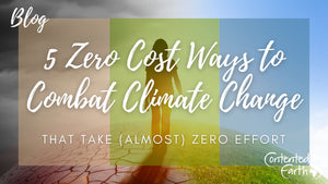 5 Zero Cost Ways to Combat Climate Change - that take (almost) zero effort