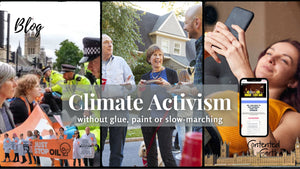Climate Activism: without glue, paint or slow-marching