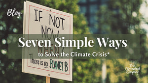Seven Simple Ways to Solve the Climate Crisis*