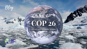 COP 26: What you should know