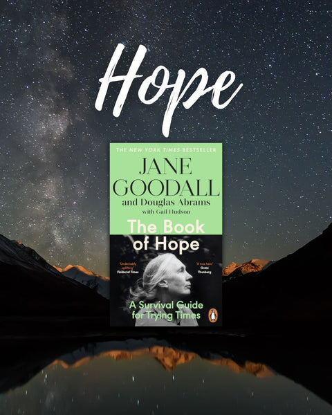 🌱 HOPE MONTH: A Four Week Programme of Meditation, Movement, Reflection & Restoration (starts 12th January 2026)