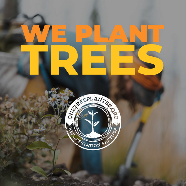 WE PLANT TREES | The Contented Company | Eco-friendly, Plastic-free, Zero-waste Shop | One Tree Planted with every order 