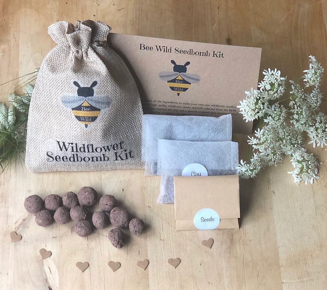 wildflower seed bomb kit Wildflower Seedbombs DIY Kit, by Bee Wild