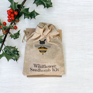 Wildflower Seedbombs DIY Kit, by Bee Wild