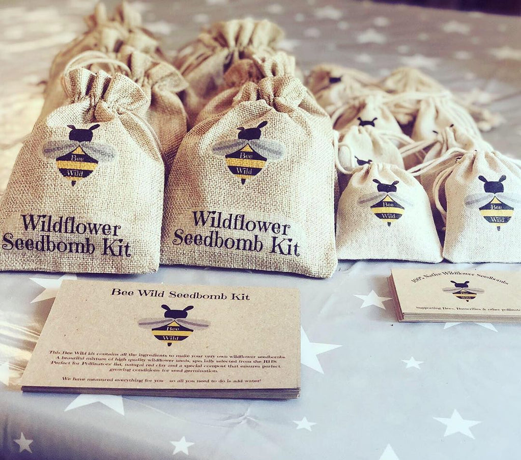 native wildflower seed bombs Wildflower Seedbombs DIY Kit, by Bee Wild