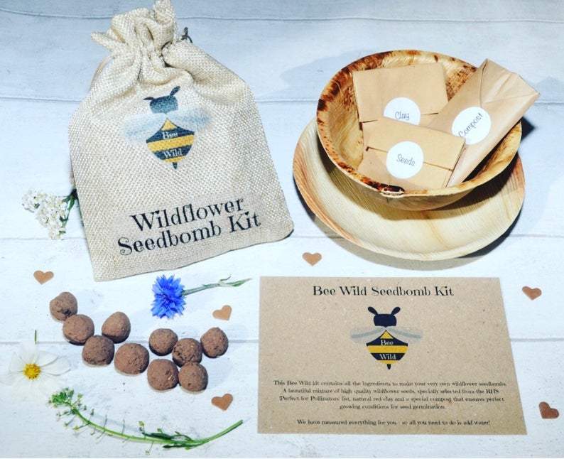wildflower seed bomb kit Wildflower Seedbombs DIY Kit, by Bee Wild